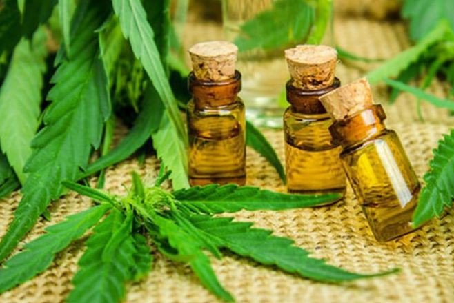 Cannabis